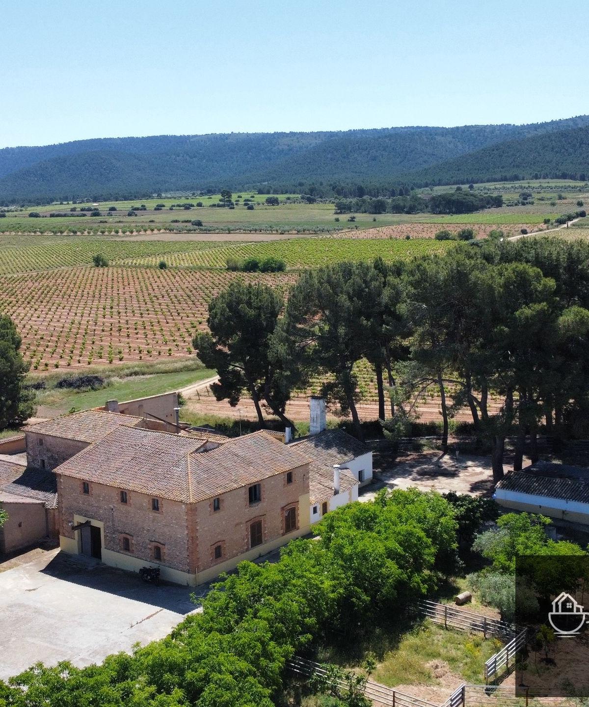 Country house among the vineyards in Fontanars dels Alforins