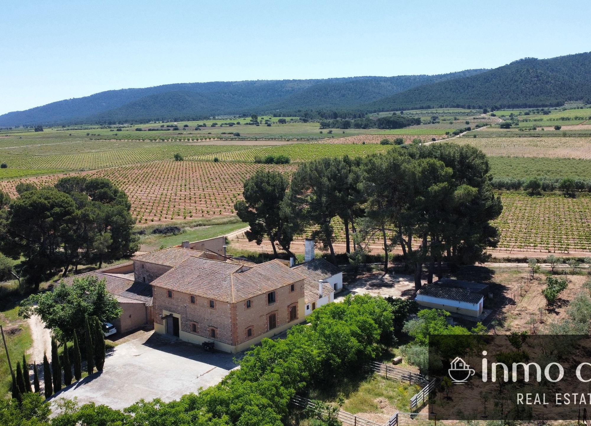 Maison de campagne au milieu des vignes à Fontanars dels Alforins