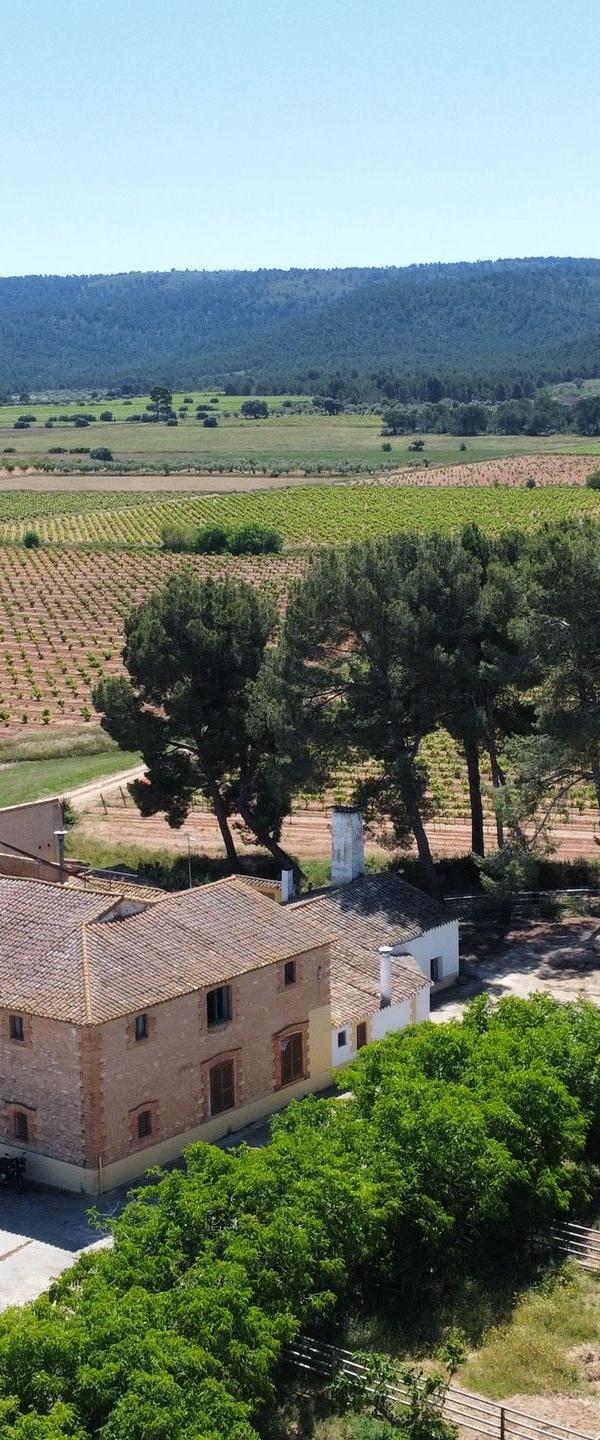 Maison de campagne au milieu des vignes à Fontanars dels Alforins