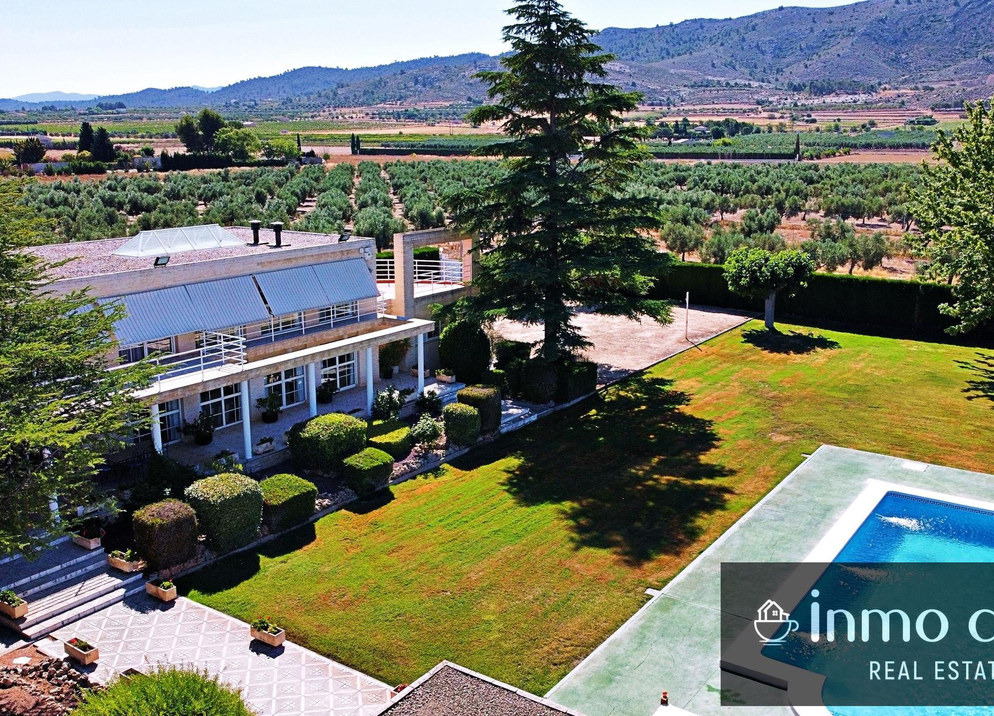 Villa with a garden in Villena