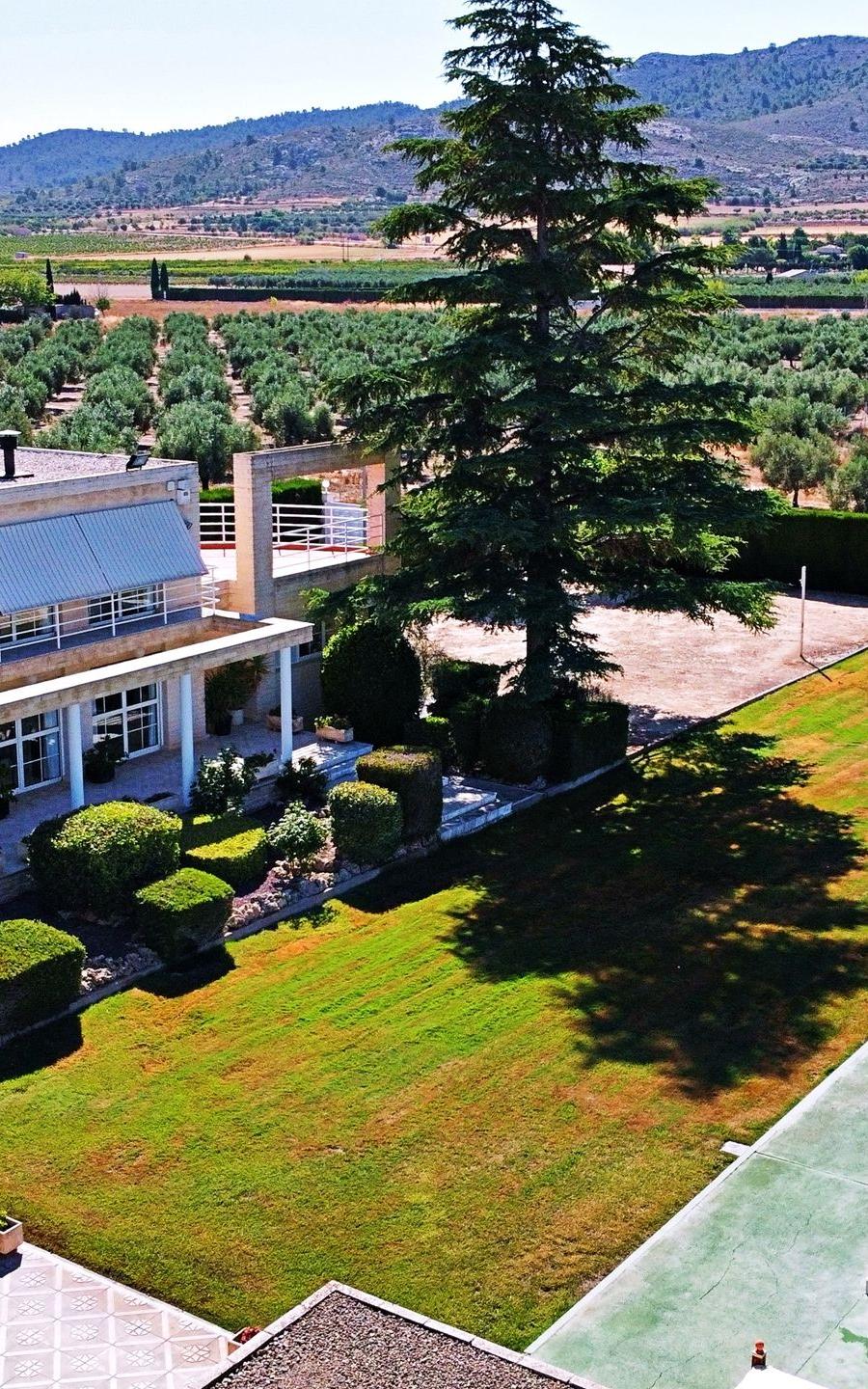 Villa avec jardin à Villena