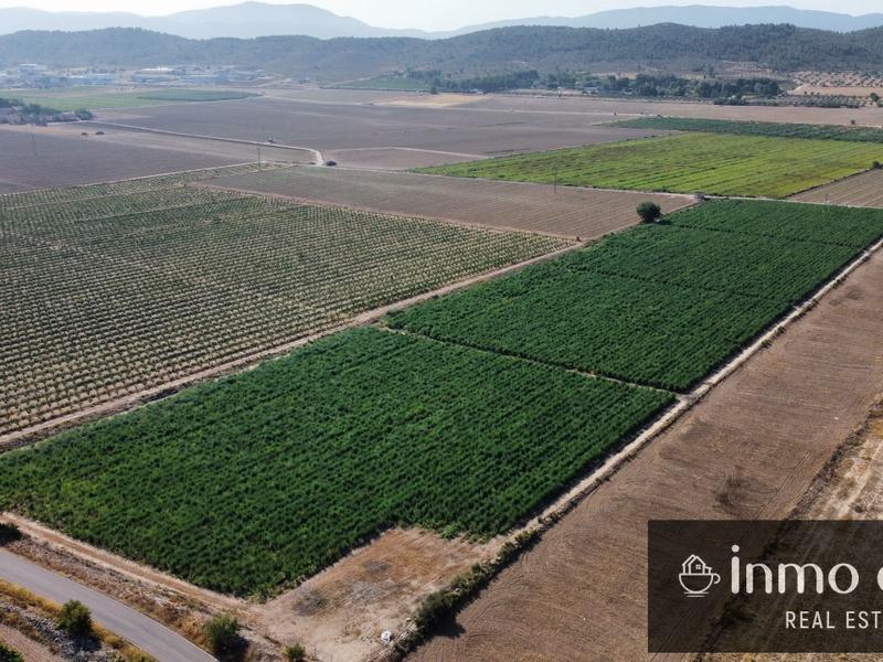 Terreno en Cascante, Villena