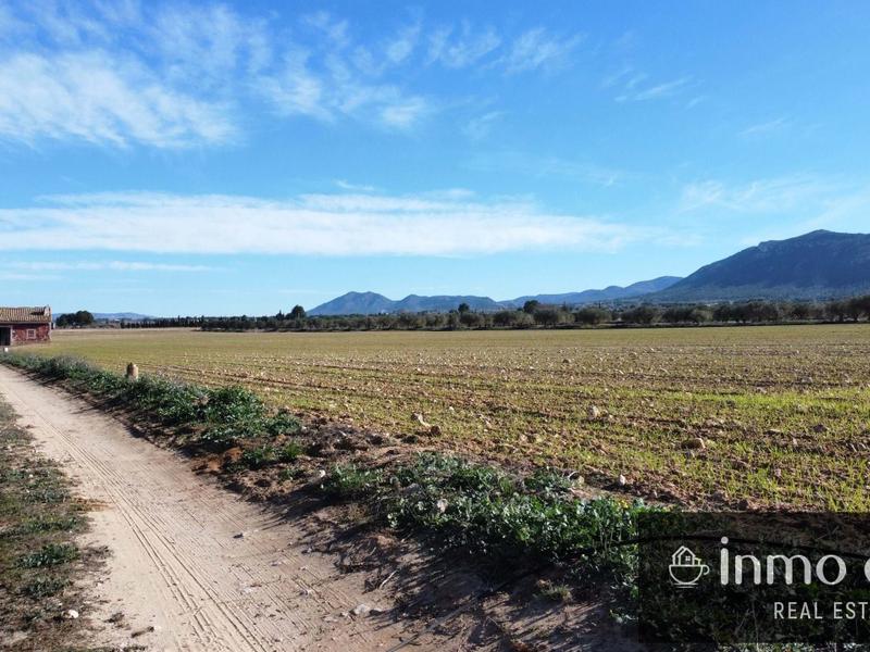 Terreno en Villena