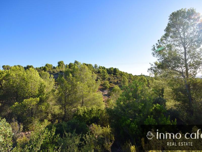 Terreno en Alcúdia de Crespins (l')